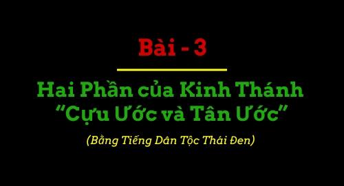 BBIP #3 BBIP #3