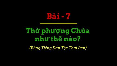 BBIP #7 BBIP #7