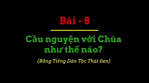 BBIP #8 BBIP #8