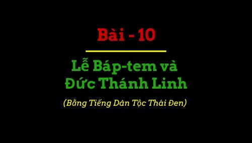 BBIP #10 BBIP #10