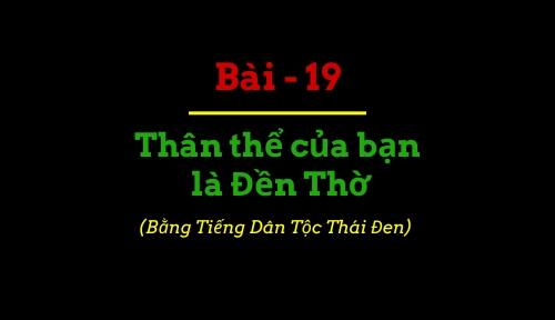 BBIP #19 BBIP #19