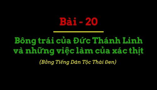 BBIP #20