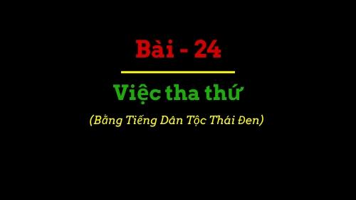 BBIP #24 BBIP #24