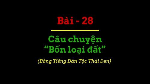 BBIP #28 BBIP #28