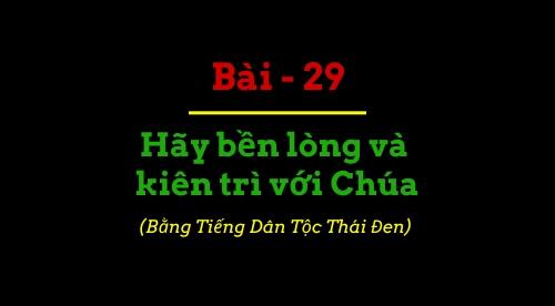 BBIP #29 BBIP #29