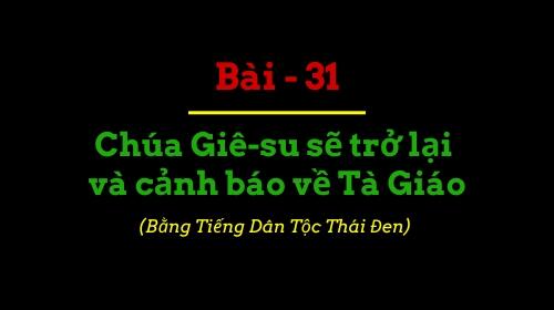 BBIP #31 BBIP #31