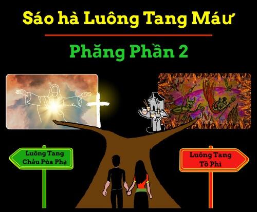 FNP Part 2