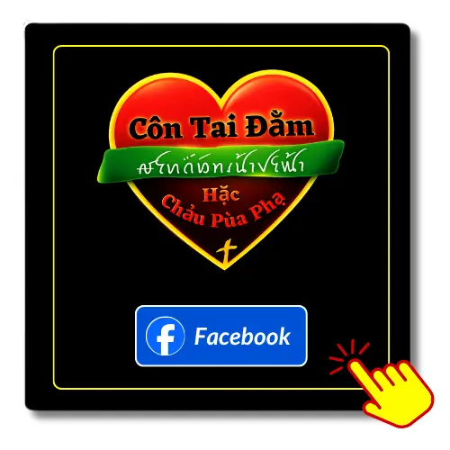 CTDHCPP Facebook